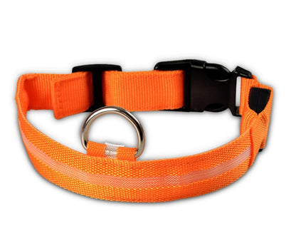 LED Pet Dog Glow Collar