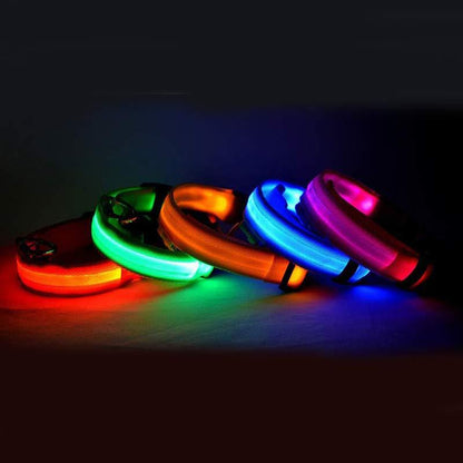 LED Pet Dog Glow Collar