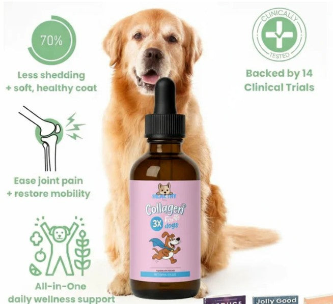 Premium Dog Collagen