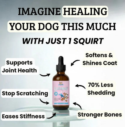Premium Dog Collagen