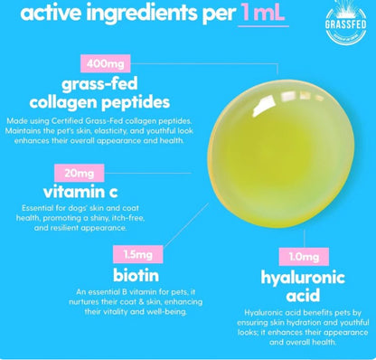 Premium Dog Collagen