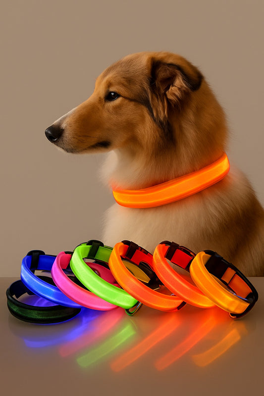 LED Pet Dog Glow Collar