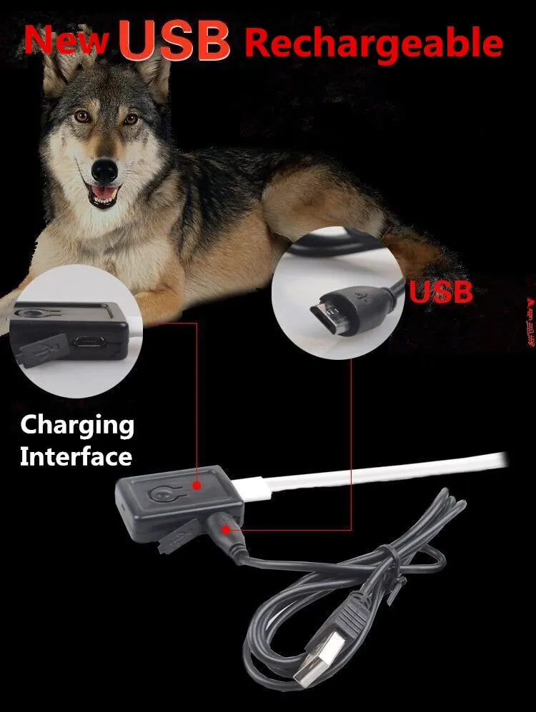 LED Pet Dog Glow Collar