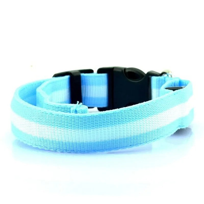 LED Pet Dog Glow Collar