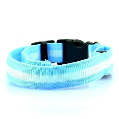 LED Pet Dog Glow Collar